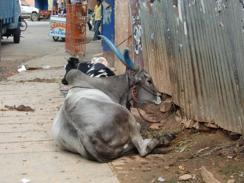 India Trip - July 2010 169.jpg